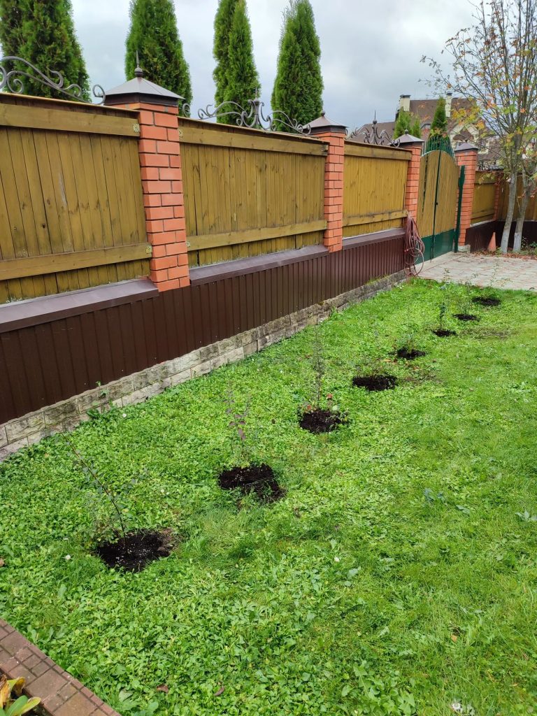 Посадка деревьев и кустарников