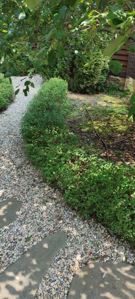 Стрижка живой изгороди