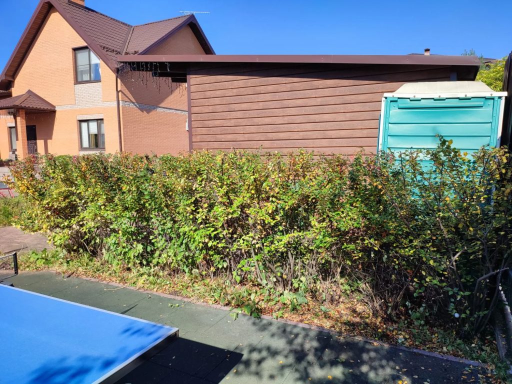 Стрижка живой изгороди