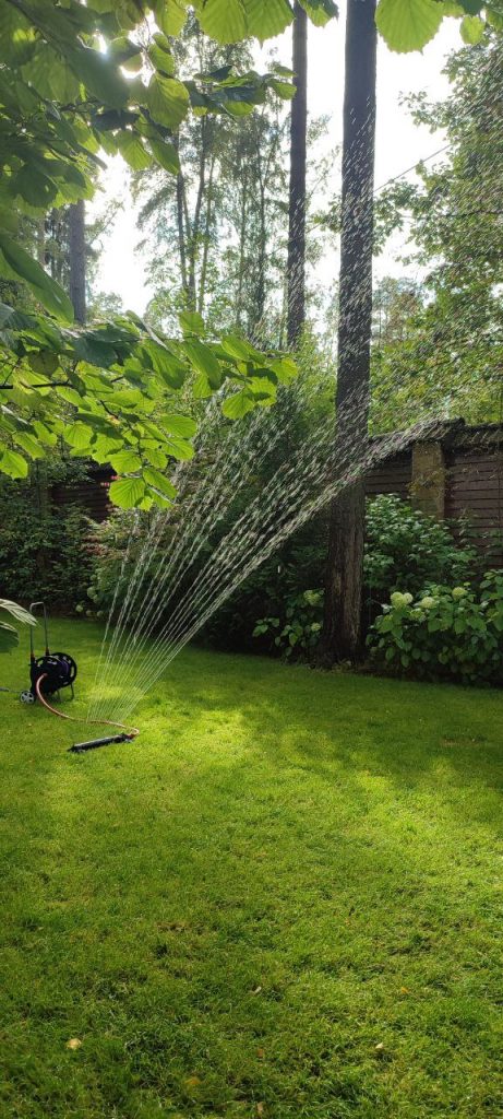 Устройство посевного газона «под ключ»