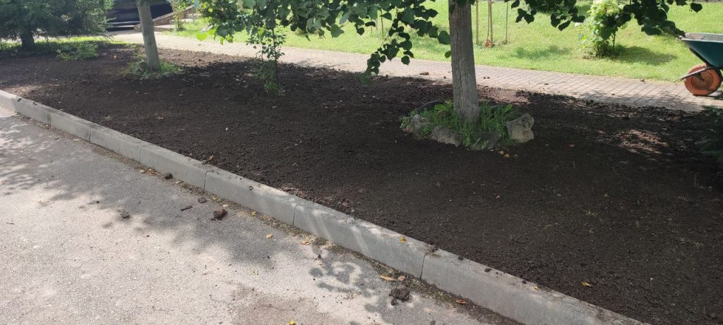 Устройство посевного газона «под ключ»