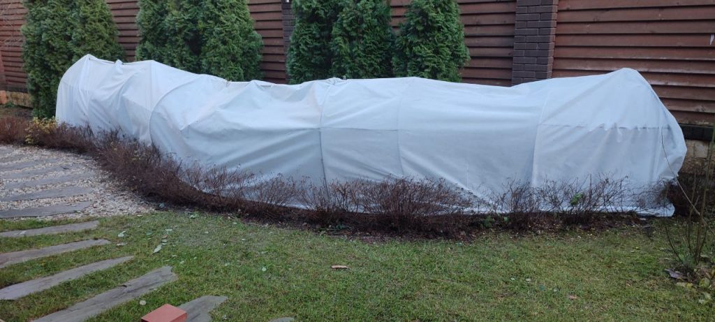 Подготовка участка к зиме