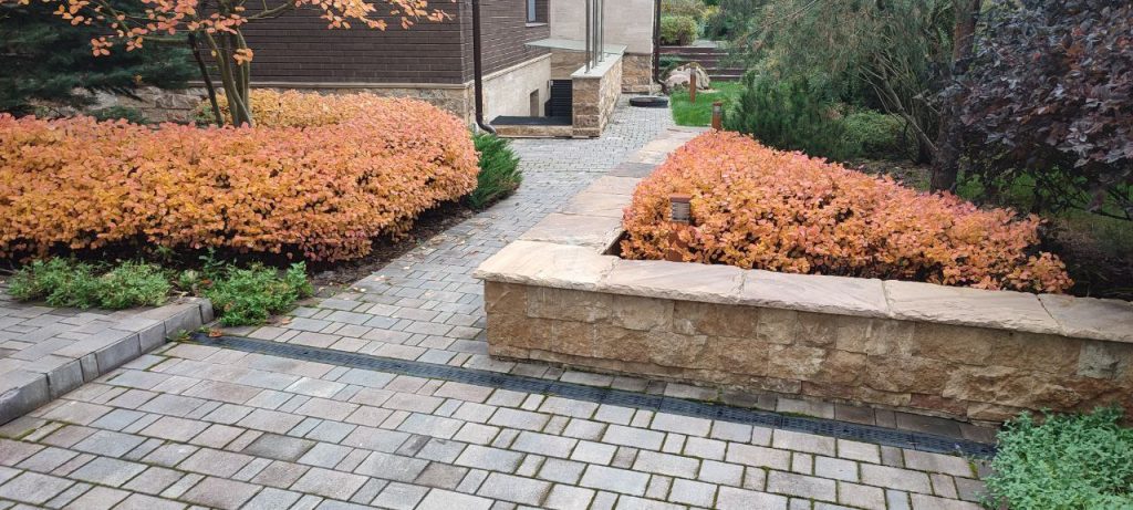 Обрезка хвойных деревьев и кустарников