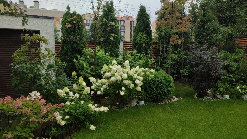 Создание миксбордеров