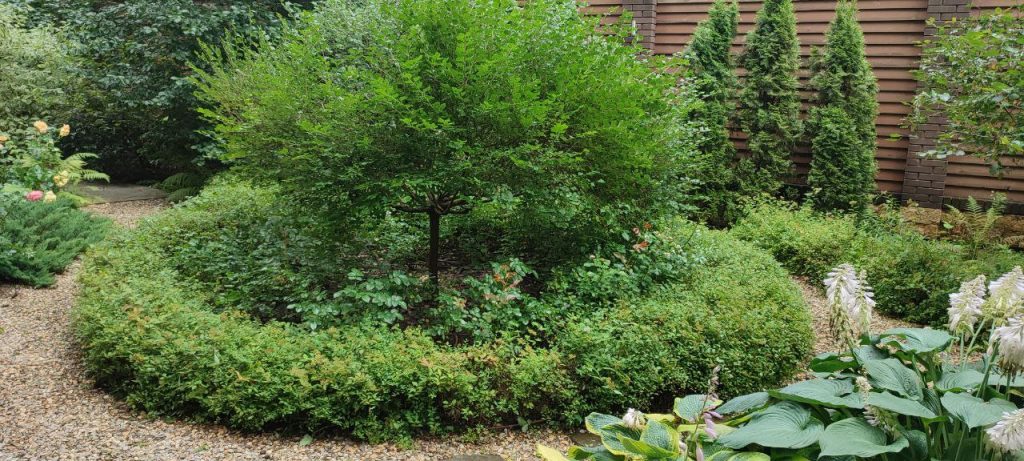 Стрижка живой изгороди