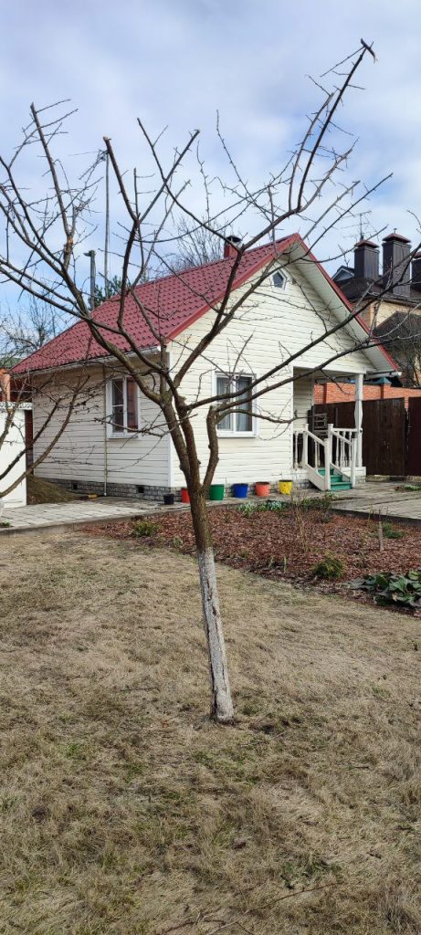 Обрезка плодовых деревьев