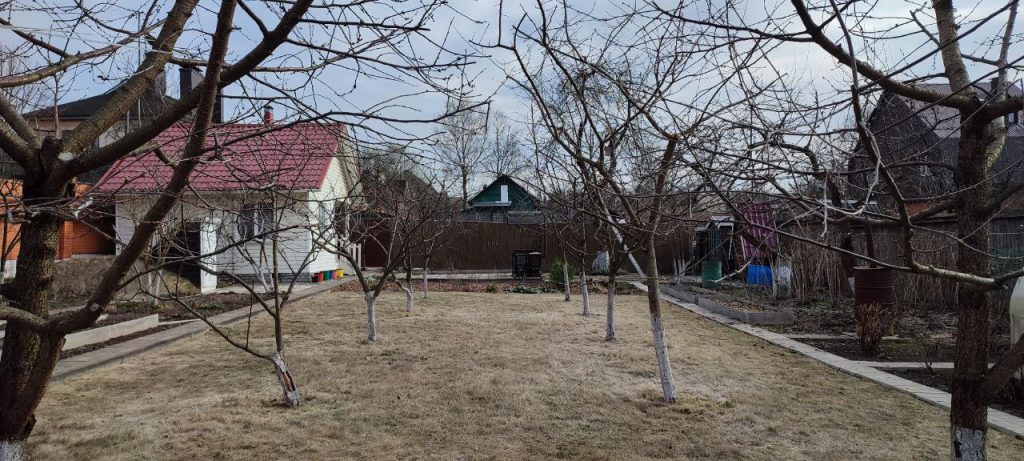 Обрезка плодовых деревьев