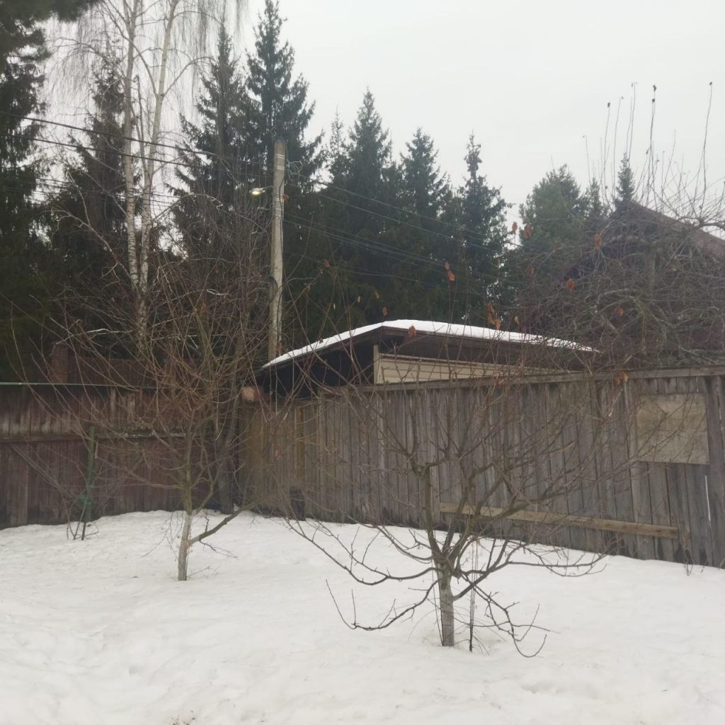 Обрезка плодовых деревьев