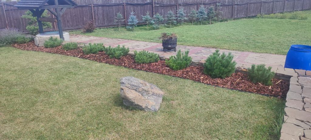 Посадка деревьев и кустарников