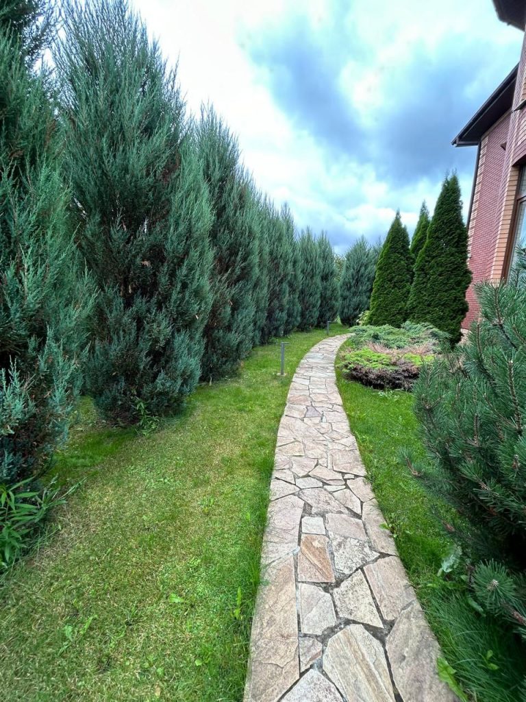 Уход за садом