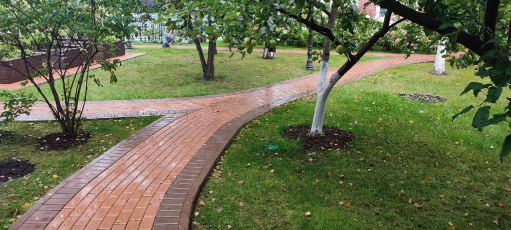 Озеленение дачных участков