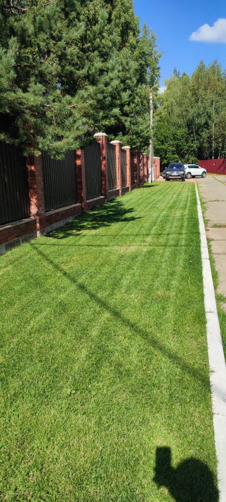 Озеленение дачных участков