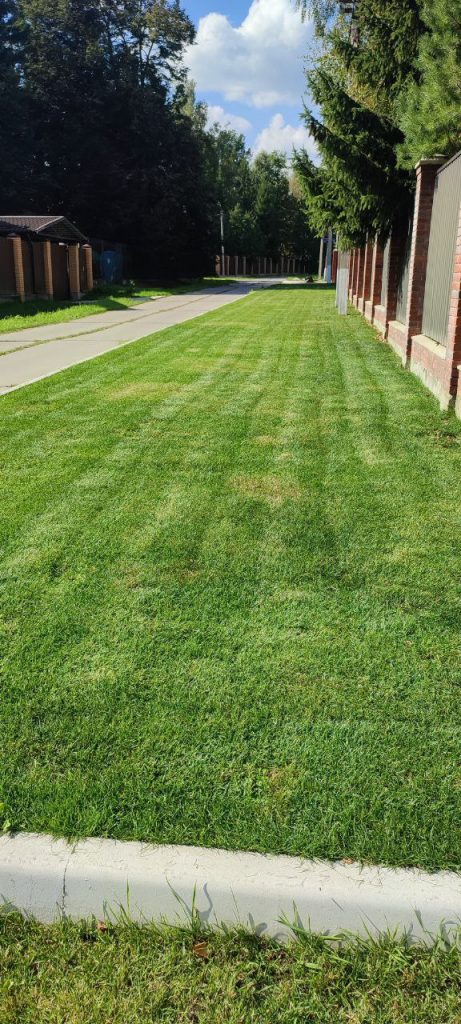 Озеленение дачных участков