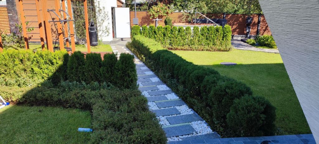 Озеленение дачных участков