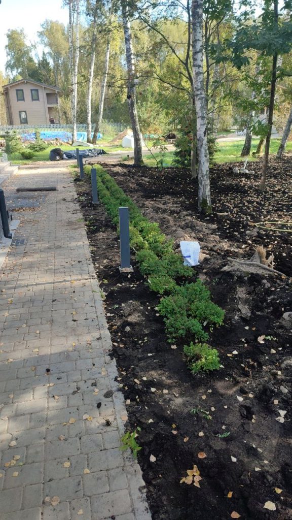 Посадка растений