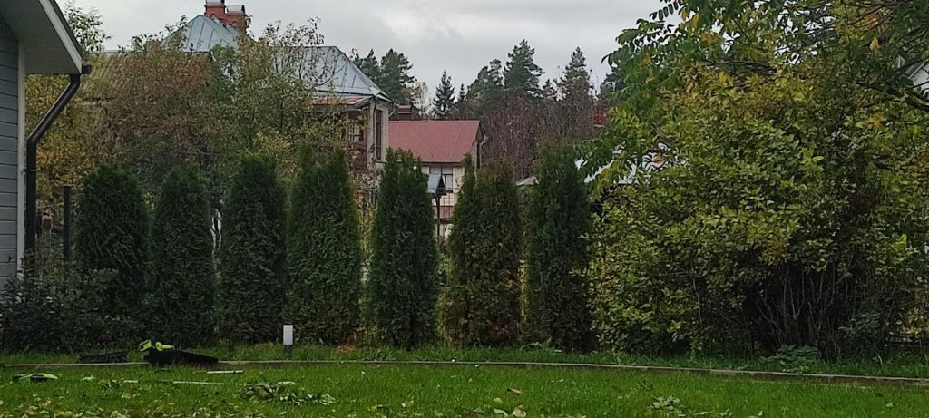 Посадка растений