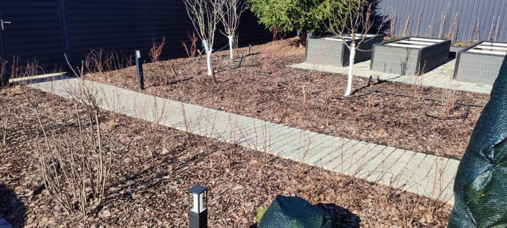 Обрезка декоративных лиственных деревьев и кустарников