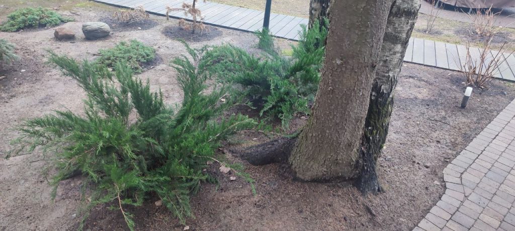 Создание миксбордеров