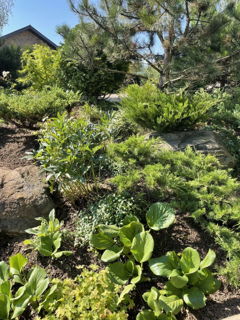 Создание альпийских горок