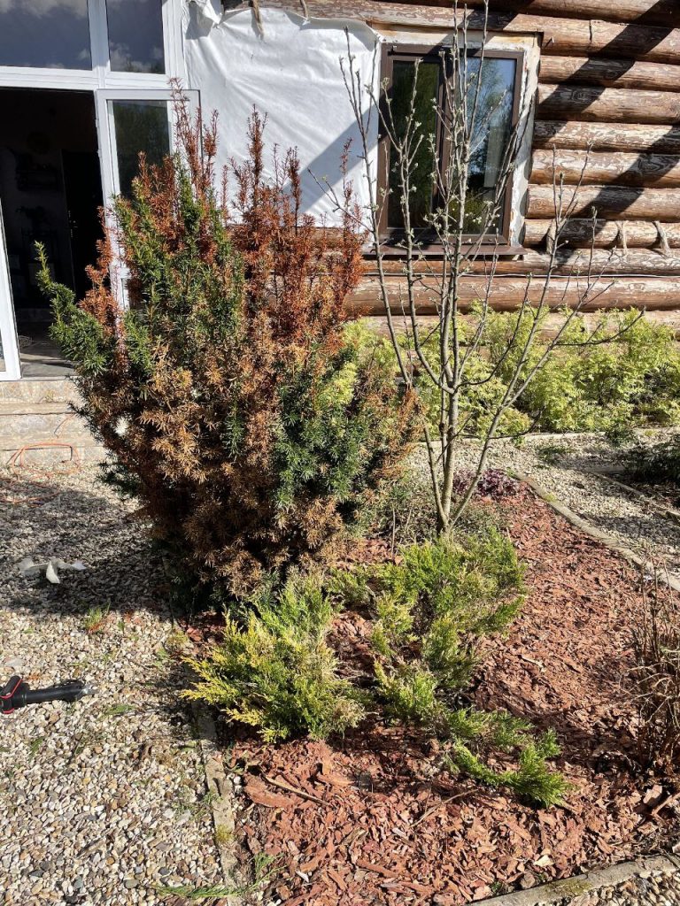 Прополка сорняков вручную