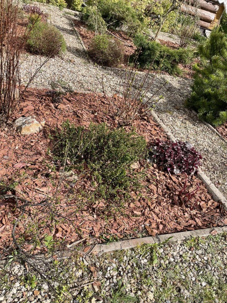 Прополка сорняков вручную