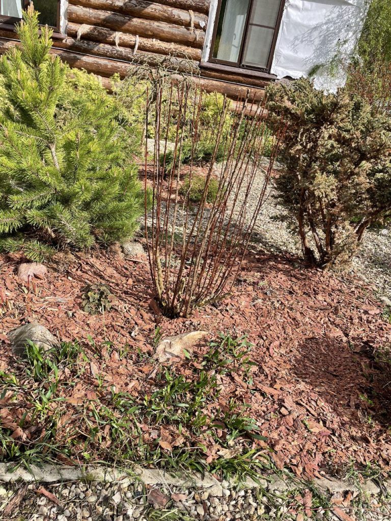 Прополка сорняков вручную