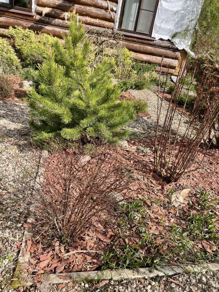 Прополка сорняков вручную