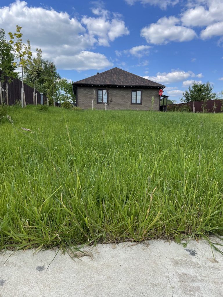 Устройство посевного газона «под ключ»