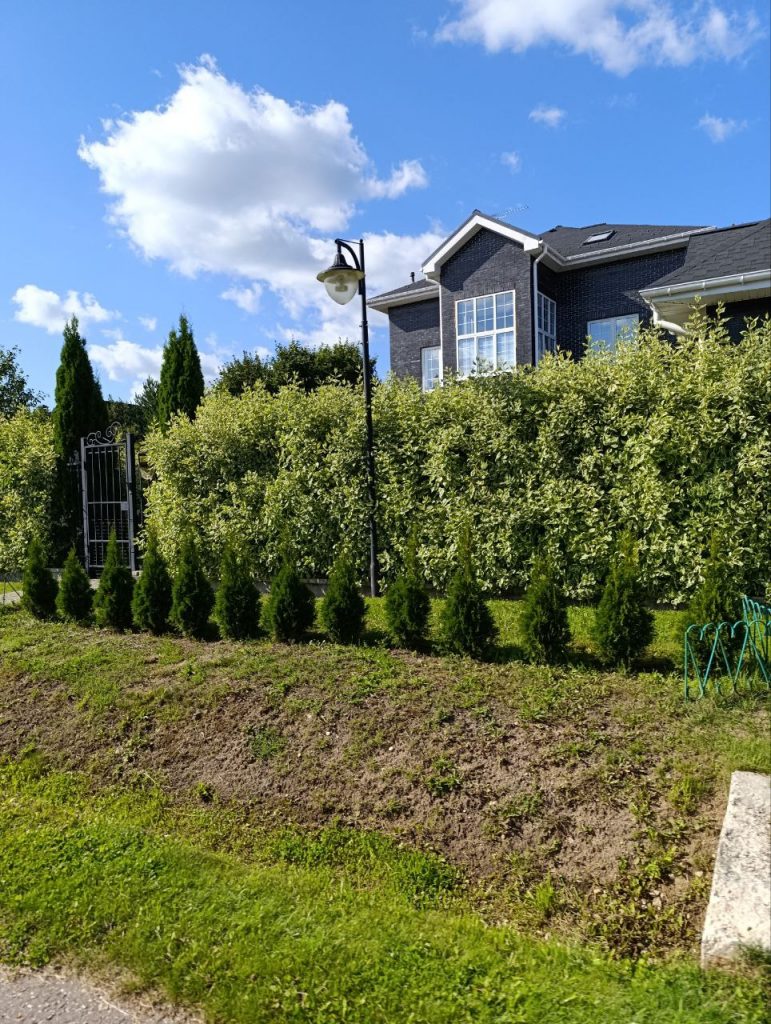 Уход за садом